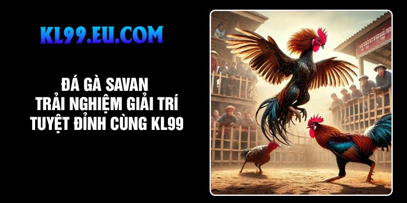 Đá gà Savan: Trải nghiệm giải trí tuyệt đỉnh cùng KL99