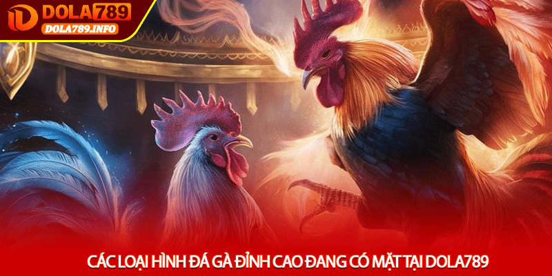 Các loại hình đá gà đỉnh cao đang có mặt tại Dola789
