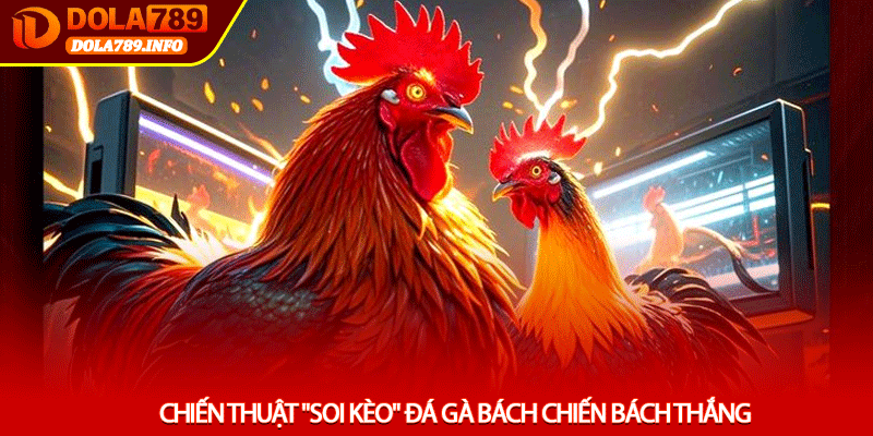 Chiến thuật "soi kèo" đá gà bách chiến bách thắng