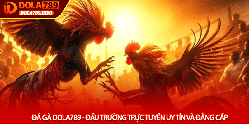 Đá Gà Dola789 - Đấu Trường Trực Tuyến Uy Tín Và Đẳng Cấp